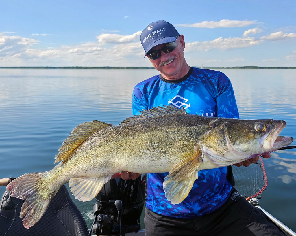 Mahi Mahi Superior